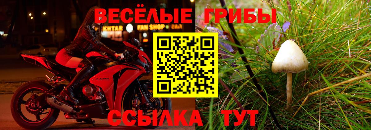 Псилоцибиновые грибы ЛСД Петрозаводск