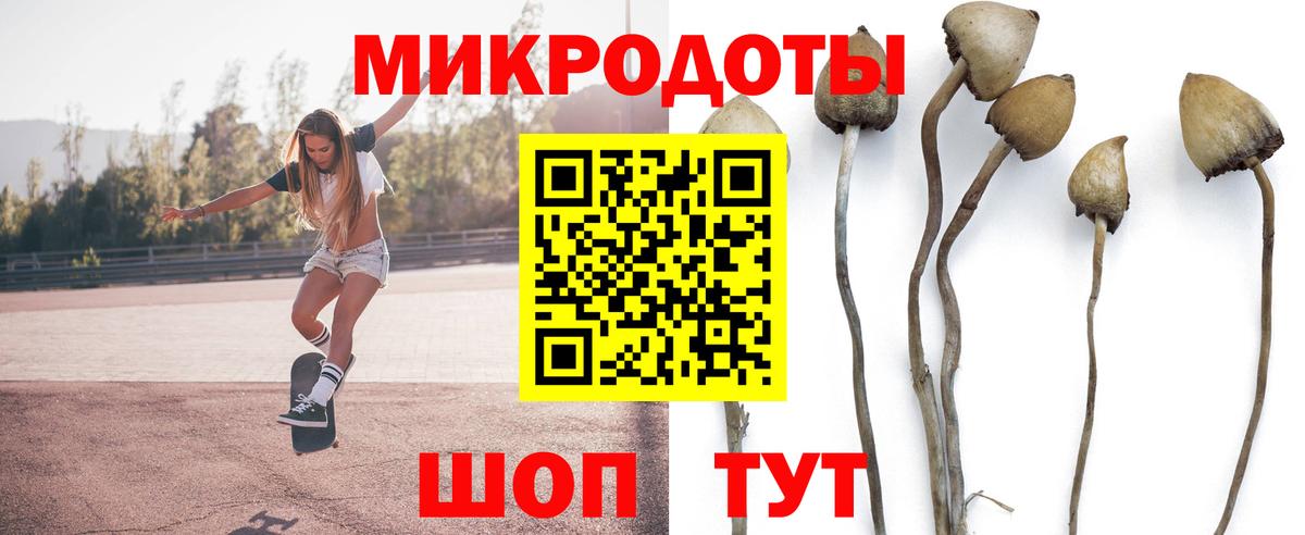 Псилоцибиновые грибы Psilocybe  Вход с VPN  Галлюциногенные грибы ЛСД  Петрозаводск 